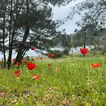 Bed and breakfast Inlice Uenzile Inlice Kamp Fethiye
