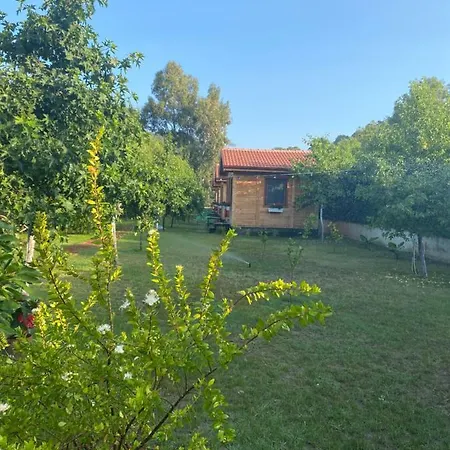 Inlice Uenzile Inlice Kamp