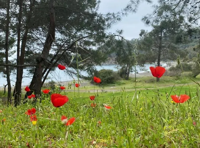 Panzió Inlice Uenzile Inlice Kamp Fethiye
