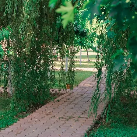 Inlice Uenzile Inlice Kamp פאטהיה