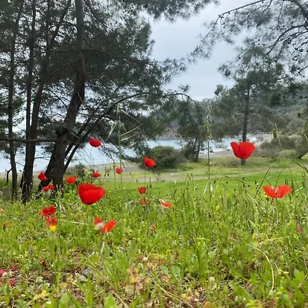 Bed & Breakfast Inlice Uenzile Inlice Kamp Fethiye