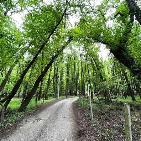 Inlice Uenzile Inlice Kamp Bed & Breakfast Fethiye