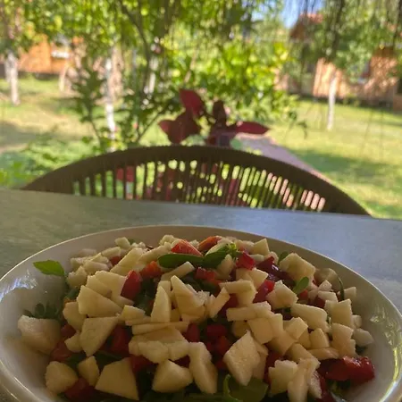 Inlice Uenzile Inlice Kamp Bed & Breakfast Fethiye