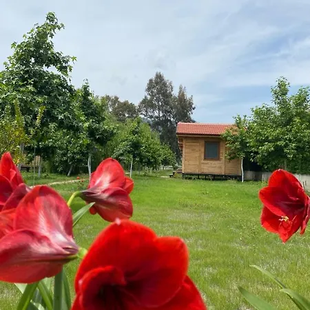 Inlice Uenzile Inlice Kamp Bed & Breakfast *